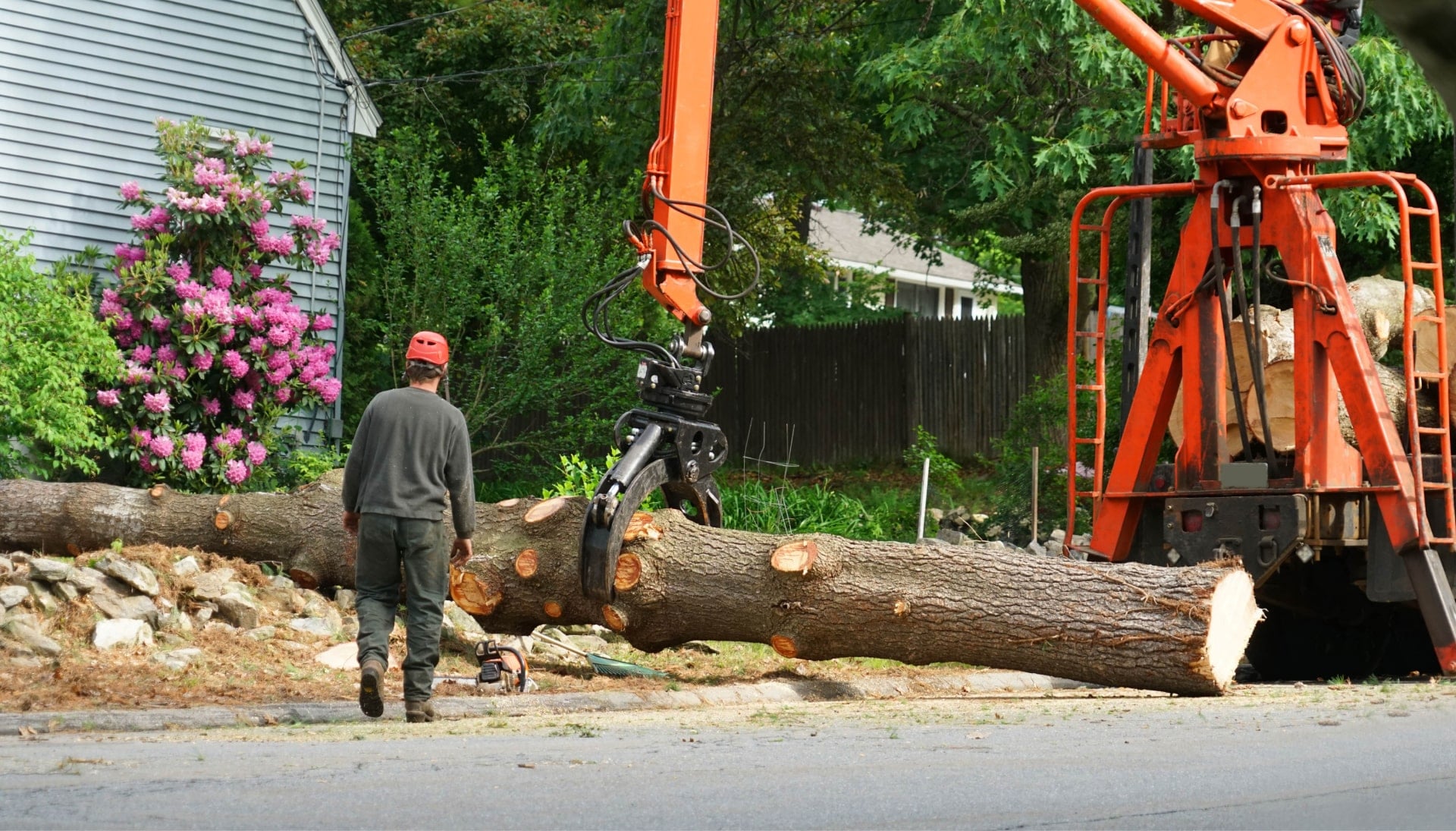 Commercial tree removal in Charlottesville, VA.